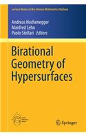 Birational Geometry of Hypersurfaces