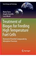 Treatment of Biogas for Feeding High Temperature Fuel Cells