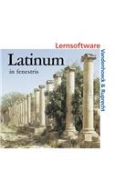 Latinum in Fenestris