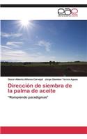 Direccion de Siembra de La Palma de Aceite