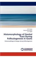 Histomorphology of Genital Tract During Folliculogenesis in Goats