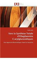Vers la synthèse totale d''ellagitannins c-arylglucosidiques: (Omn.Univ.Europ.)