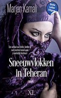 Sneeuwvlokken in Teheran