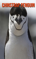 Chinstrap Penguin: Amazing Photos & Fun Facts Book About Chinstrap Penguin For Kids