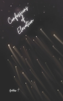 Confessions of Elevation