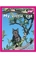 My little cat
