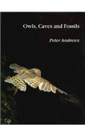 Owls Caves & Fossils