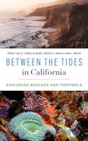 Between the Tides in California