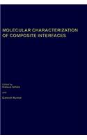 Molecular Characterization of Composite Interfaces