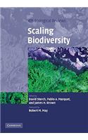 Scaling Biodiversity