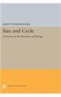 Size and Cycle