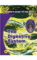 Digestive System