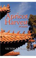 Apricot Harvest