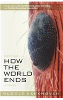How the World Ends (Book One)