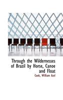 Through the Wildernesses of Brazil by Horse, Canoe and Float