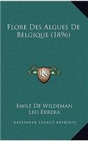 Flore Des Algues De Belgique (1896)