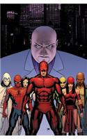 Daredevil: Shadowland Omnibus