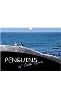 Penguins of South Africa 2018