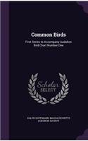 Common Birds