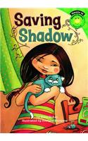 Saving Shadow