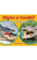 Alligator or Crocodile?