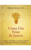 Como um Feixe de Juncos: Como a União e a Responsabilidade Mútua São a Necessidade do Momento(English)