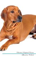Rhodesian Ridgeback Affirmations Workbook Rhodesian Ridgeback Presents: Positive and Loving Affirmations Workbook. Includes: Mentoring Questions, Guidance, Supporting You.