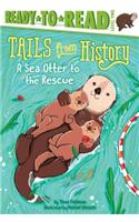 Sea Otter to the Rescue