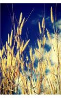 Wheat in a Field Journal