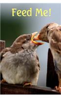 Journal Bird Feeding Bird