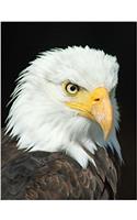 Bald Eagle Composition Book