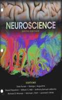 Neuroscience 6th Edition