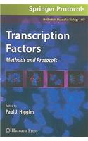 Transcription Factors