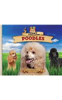 Perky Poodles