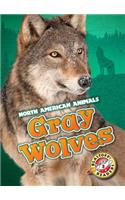 Gray Wolves