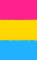 Pansexual Pride Flag Sketchbook