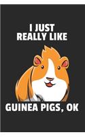Meerschweinchen Notizbuch