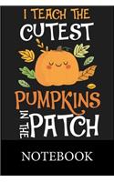 I Teach The Cutest Pumpkins In The Patch Notebook
