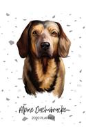 Alpine Dachsbracke 2020 Planner: Dated Weekly Diary With To Do Notes & Dog Quotes