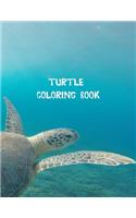 Turtle coloring book: Coloring Toy Gifts for Toddlers, Kids or Adult Relaxation - Cute Easy and Relaxing Realistic Large Print Birthday Gifts