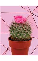 2019 Planner: Cactus Weekly Planner 2019 - Weekly Views with To-Do Lists, Funny Holidays & Inspirational Quotes - 2019 Organizer with Vision Board, Notes and Much(Cactus Planners 2019)