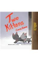Two Kittens Come Home