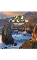 Wild California