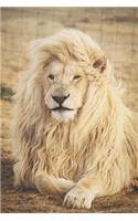 King Lion: 6x9 Inch Matte Softcover Journal with 150 Blank Lined Pages