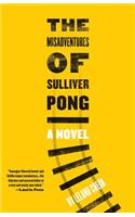 The Misadventures of Sulliver Pong