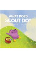 What Does Scout Do?