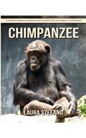 Chimpanzee