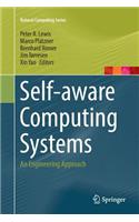 Self-Aware Computing Systems