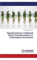 Agrobacterium Mediated Gene Transformation in Codonopsis Lanceolata