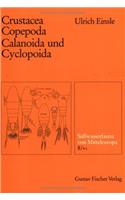 Susswasserfauna Von Mitteleuropa, Bd. 08/4-1: Crustacea: Copepoda: Calanoida Und Cyclopoida
